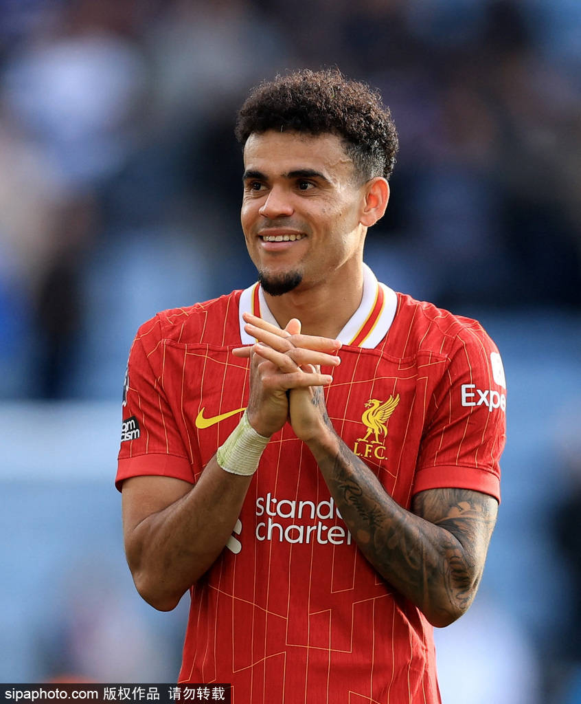 的稳定性与 的稳定性与